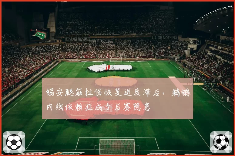 锡安腿筋拉伤恢复进度滞后,鹈鹕内线依赖症成季后赛隐患