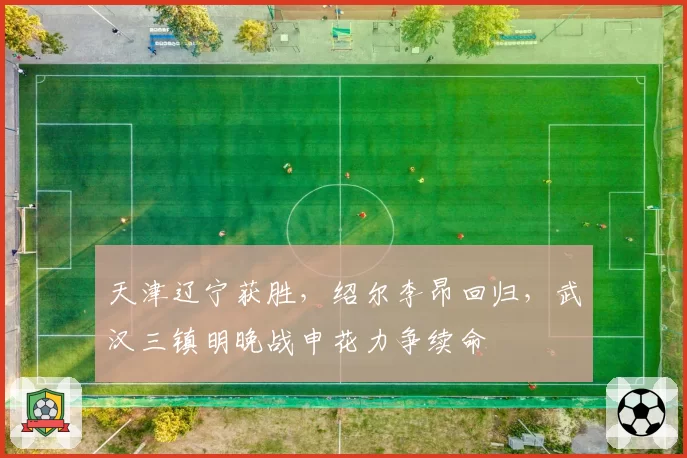 天津辽宁获胜,绍尔李昂回归,武汉三镇明晚战申花力争续命