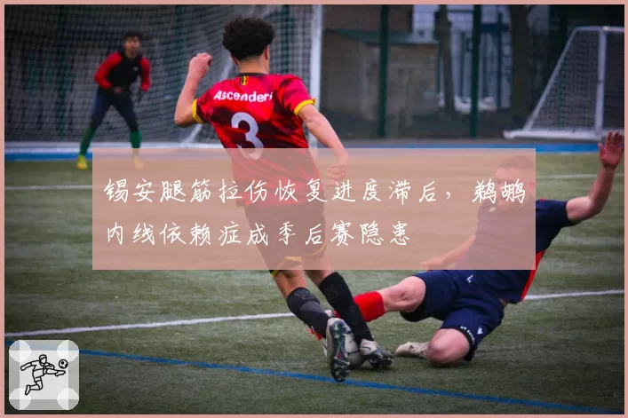 锡安腿筋拉伤恢复进度滞后，鹈鹕内线依赖症成季后赛隐患