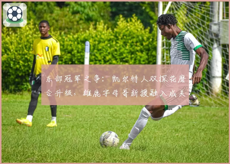 东部冠军之争：凯尔特人双探花磨合升级，雄鹿字母哥新援融入成关键